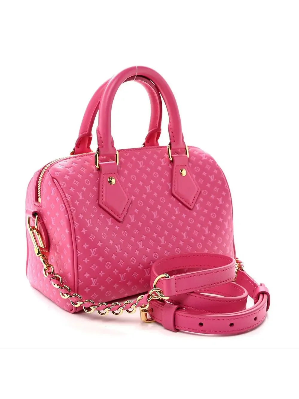 Louis Vuitton Calfskin Nanogram #295667L26B